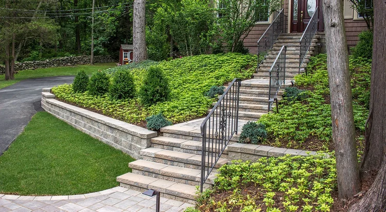 Concord-Wall_Walls_Almond-Grove_5352